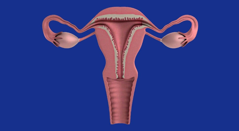 Kapalı Rahim Ameliyatı Ankara